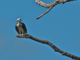 Florida_2007-2008-053